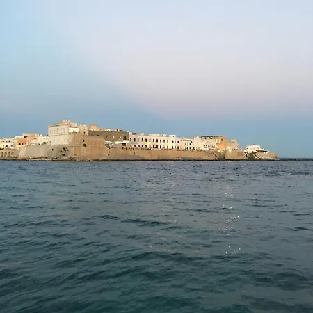Domus Oleandra *